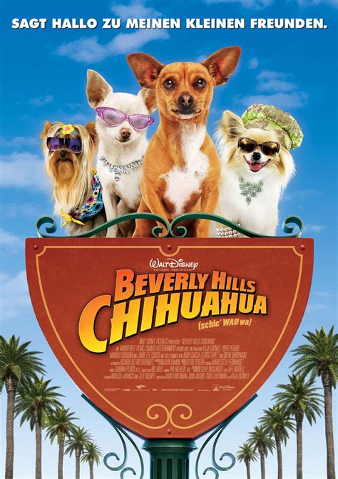 beverly hills chihuahua 5